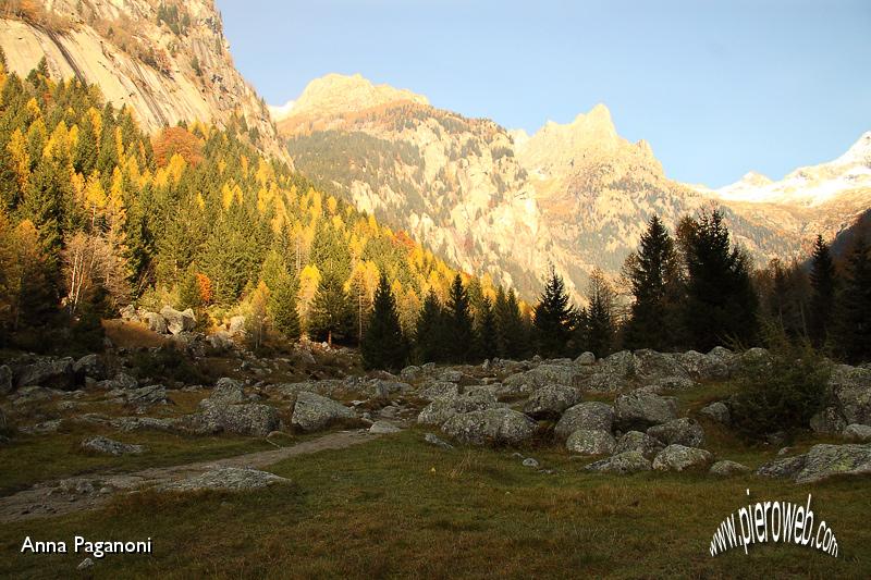 10 - Panorama sull'Alpe Pioda.jpg